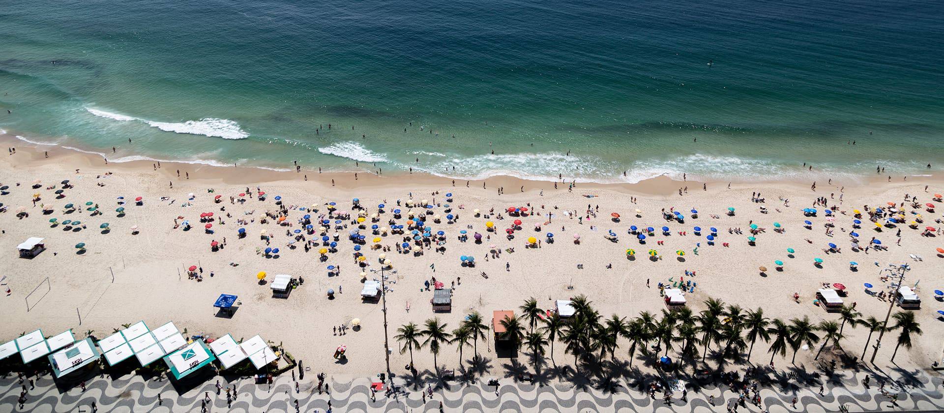 Banner - LEÃO CORRETOR